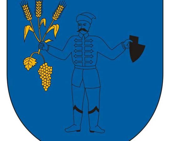 Ingatlanárverési hirdetmény 0268.V.0173/2010/189