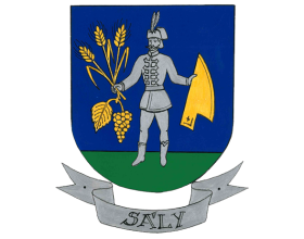 Sajtóközlemény VJP